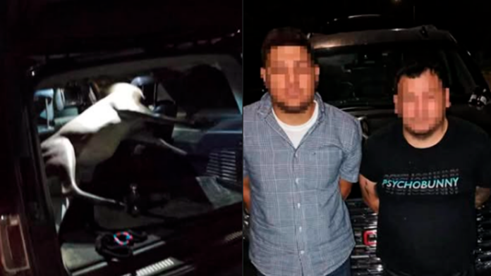 Dos hombres detenidos tras intentar sustraer la figura de un venado en Candela